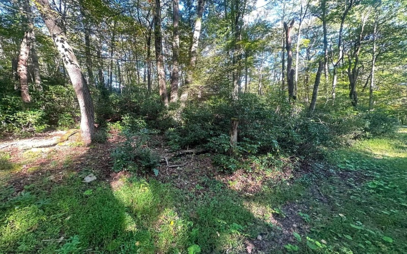 Lot 172 & 173 Dogwood Drive, Terra Alta, West Virginia 26764, 0 , 0 ,0,Lots/land,For Sale,Dogwood,0,10167144
