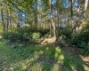 Lot 172 & 173 Dogwood Drive, Terra Alta, West Virginia 26764, 0 , 0 ,0,Lots/land,For Sale,Dogwood,0,10167144