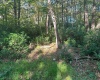 Lot 172 & 173 Dogwood Drive, Terra Alta, West Virginia 26764, 0 , 0 ,0,Lots/land,For Sale,Dogwood,0,10167144