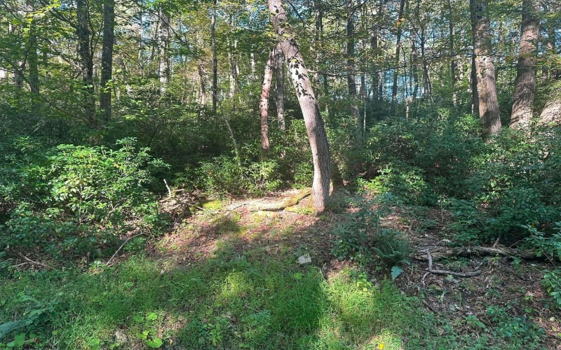 Lot 172 & 173 Dogwood Drive, Terra Alta, West Virginia 26764, 0 , 0 ,0,Lots/land,For Sale,Dogwood,0,10167144
