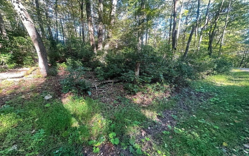Lot 172 & 173 Dogwood Drive, Terra Alta, West Virginia 26764, 0 , 0 ,0,Lots/land,For Sale,Dogwood,0,10167144