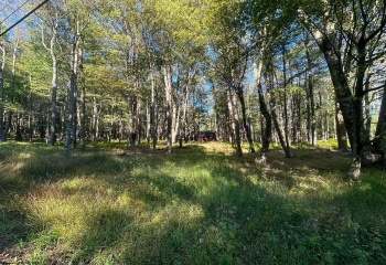 Lot 21 Alpine Drive, Terra Alta, West Virginia 26764, 0 , 0 ,0,Lots/land,For Sale,Alpine,0,10167145