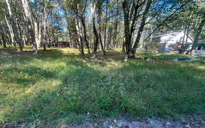Lot 21 Alpine Drive, Terra Alta, West Virginia 26764, 0 , 0 ,0,Lots/land,For Sale,Alpine,0,10167145