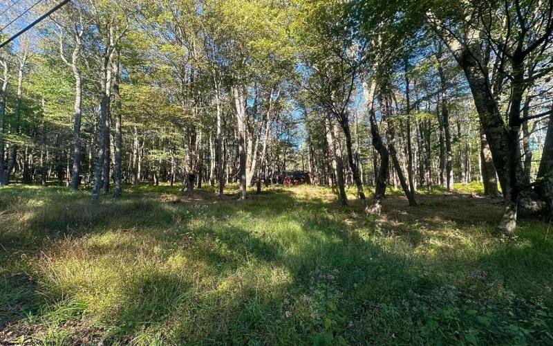 Lot 21 Alpine Drive, Terra Alta, West Virginia 26764, 0 , 0 ,0,Lots/land,For Sale,Alpine,0,10167145