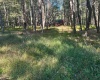 Lot 21 Alpine Drive, Terra Alta, West Virginia 26764, 0 , 0 ,0,Lots/land,For Sale,Alpine,0,10167145