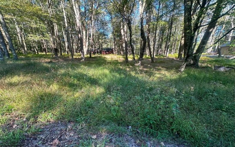 Lot 21 Alpine Drive, Terra Alta, West Virginia 26764, 0 , 0 ,0,Lots/land,For Sale,Alpine,0,10167145