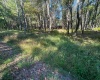 Lot 21 Alpine Drive, Terra Alta, West Virginia 26764, 0 , 0 ,0,Lots/land,For Sale,Alpine,0,10167145