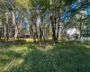 Lot 21 Alpine Drive, Terra Alta, West Virginia 26764, 0 , 0 ,0,Lots/land,For Sale,Alpine,0,10167145