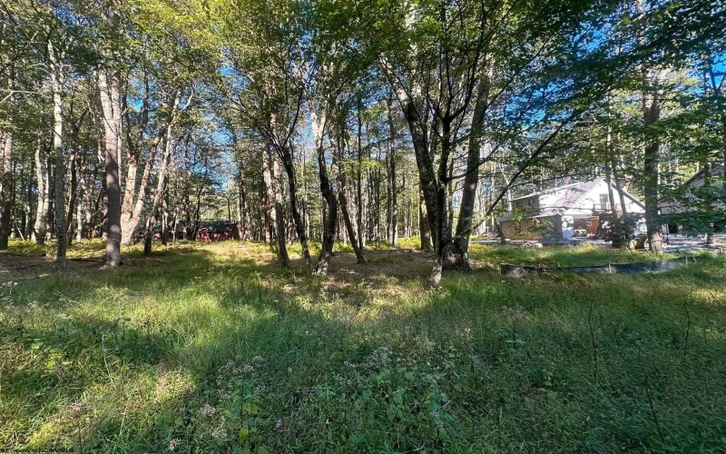Lot 21 Alpine Drive, Terra Alta, West Virginia 26764, 0 , 0 ,0,Lots/land,For Sale,Alpine,0,10167145
