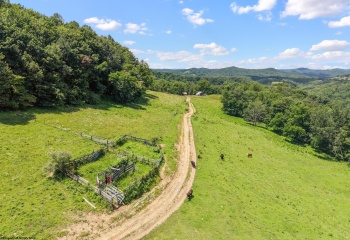 3175 Glady Creek Road, Ireland, West Virginia 26376, 0 , 0 ,0,Lots/land,For Sale,Glady Creek,0,10165625