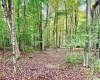 920 Sand Run Road, Davis, West Virginia 26260-0000, 3 Bedroom Bedrooms, 11 Room Rooms,3 BathroomBathrooms,Single Family Detached,For Sale,Sand Run,0,10167165