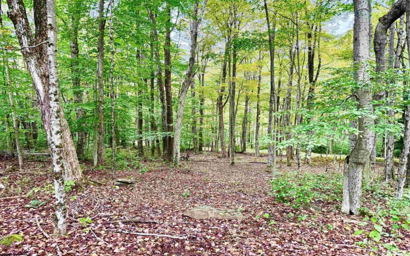 920 Sand Run Road, Davis, West Virginia 26260-0000, 3 Bedroom Bedrooms, 11 Room Rooms,3 BathroomBathrooms,Single Family Detached,For Sale,Sand Run,0,10167165