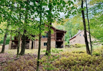 920 Sand Run Road, Davis, West Virginia 26260-0000, 3 Bedroom Bedrooms, 11 Room Rooms,3 BathroomBathrooms,Single Family Detached,For Sale,Sand Run,0,10167165