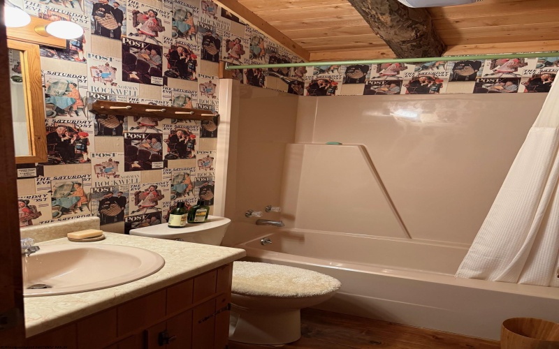 920 Sand Run Road, Davis, West Virginia 26260-0000, 3 Bedroom Bedrooms, 11 Room Rooms,3 BathroomBathrooms,Single Family Detached,For Sale,Sand Run,0,10167165