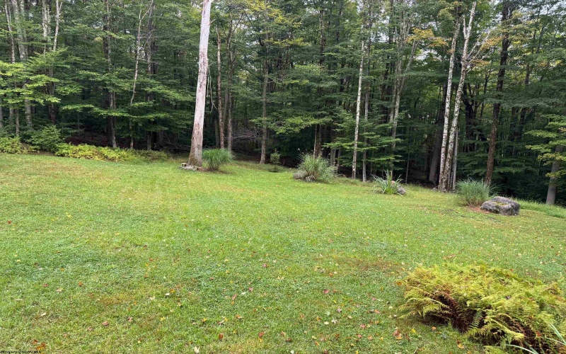 920 Sand Run Road, Davis, West Virginia 26260-0000, 3 Bedroom Bedrooms, 11 Room Rooms,3 BathroomBathrooms,Single Family Detached,For Sale,Sand Run,0,10167165