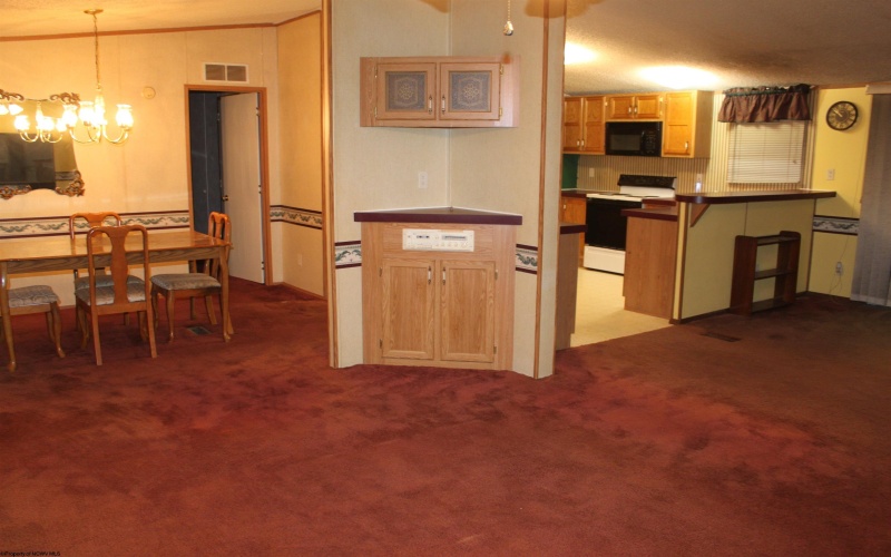 4477 Diana Drive, Webster Springs, West Virginia 26288-0000, 3 Bedroom Bedrooms, 9 Room Rooms,2 BathroomBathrooms,Single Family Detached,For Sale,Diana,0,10167169