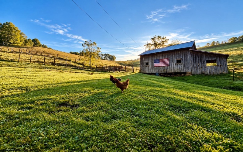 623 Hackers Creek Road, Buckhannon, West Virginia 26201, 4 Bedroom Bedrooms, 9 Room Rooms,1 BathroomBathrooms,Single Family Detached,For Sale,Hackers Creek,0,10167195 623 Hackers Creek Road, Buckhannon, West Virginia 26201, 4 Bedroom Bedrooms, 9 Room Rooms,1 BathroomBathrooms,Single Family Detached,For Sale,Hackers Creek,0,10167195