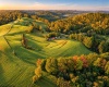 623 Hackers Creek Road, Buckhannon, West Virginia 26201, 4 Bedroom Bedrooms, 9 Room Rooms,1 BathroomBathrooms,Single Family Detached,For Sale,Hackers Creek,0,10167195 623 Hackers Creek Road, Buckhannon, West Virginia 26201, 4 Bedroom Bedrooms, 9 Room Rooms,1 BathroomBathrooms,Single Family Detached,For Sale,Hackers Creek,0,10167195