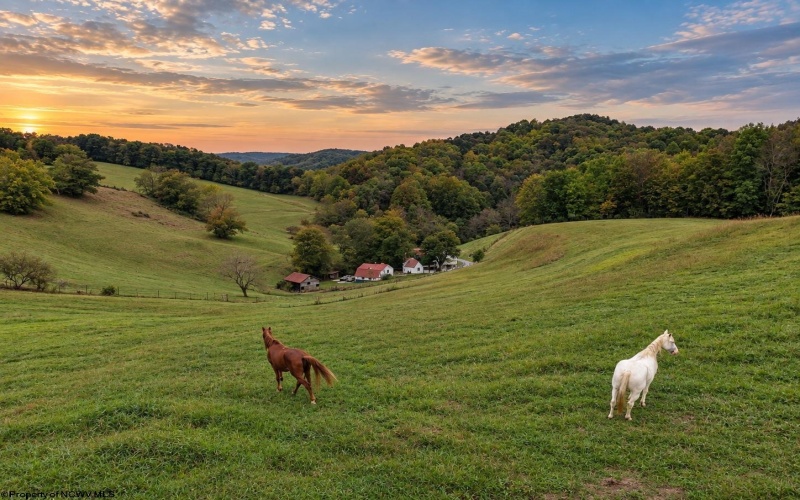 623 Hackers Creek Road, Buckhannon, West Virginia 26201, 4 Bedroom Bedrooms, 9 Room Rooms,1 BathroomBathrooms,Single Family Detached,For Sale,Hackers Creek,0,10167195 623 Hackers Creek Road, Buckhannon, West Virginia 26201, 4 Bedroom Bedrooms, 9 Room Rooms,1 BathroomBathrooms,Single Family Detached,For Sale,Hackers Creek,0,10167195