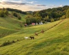 623 Hackers Creek Road, Buckhannon, West Virginia 26201, 4 Bedroom Bedrooms, 9 Room Rooms,1 BathroomBathrooms,Single Family Detached,For Sale,Hackers Creek,0,10167195 623 Hackers Creek Road, Buckhannon, West Virginia 26201, 4 Bedroom Bedrooms, 9 Room Rooms,1 BathroomBathrooms,Single Family Detached,For Sale,Hackers Creek,0,10167195