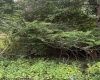 TBD Crystal Springs Road, Elkins, West Virginia 26241, 0 , 0 ,0,Lots/land,For Sale,Crystal Springs,0,10167178