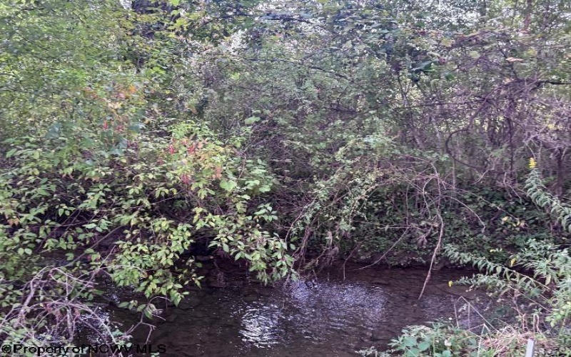 TBD Crystal Springs Road, Elkins, West Virginia 26241, 0 , 0 ,0,Lots/land,For Sale,Crystal Springs,0,10167178