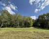 TBD Hunters Fork Road, Belington, West Virginia 26250, 0 , 0 ,0,Lots/land,For Sale,Hunters Fork,0,10167182