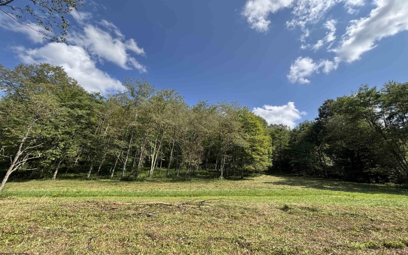 TBD Hunters Fork Road, Belington, West Virginia 26250, 0 , 0 ,0,Lots/land,For Sale,Hunters Fork,0,10167182