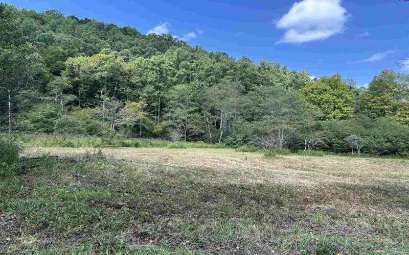 TBD Hunters Fork Road, Belington, West Virginia 26250, 0 , 0 ,0,Lots/land,For Sale,Hunters Fork,0,10167182