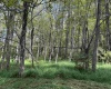 TBD Hunters Fork Road, Belington, West Virginia 26250, 0 , 0 ,0,Lots/land,For Sale,Hunters Fork,0,10167182