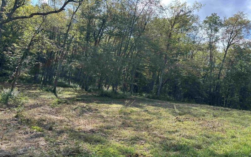 TBD Hunters Fork Road, Belington, West Virginia 26250, 0 , 0 ,0,Lots/land,For Sale,Hunters Fork,0,10167182