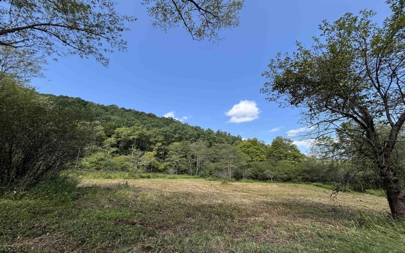 TBD Hunters Fork Road, Belington, West Virginia 26250, 0 , 0 ,0,Lots/land,For Sale,Hunters Fork,0,10167182