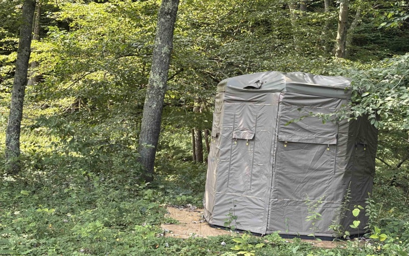 TBD Hunters Fork Road, Belington, West Virginia 26250, 0 , 0 ,0,Lots/land,For Sale,Hunters Fork,0,10167182