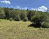 TBD Hunters Fork Road, Belington, West Virginia 26250, 0 , 0 ,0,Lots/land,For Sale,Hunters Fork,0,10167182