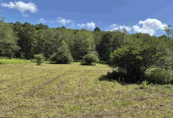 TBD Hunters Fork Road, Belington, West Virginia 26250, 0 , 0 ,0,Lots/land,For Sale,Hunters Fork,0,10167182