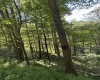 TBD Hunters Fork Road, Belington, West Virginia 26250, 0 , 0 ,0,Lots/land,For Sale,Hunters Fork,0,10167182
