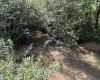 TBD Hunters Fork Road, Belington, West Virginia 26250, 0 , 0 ,0,Lots/land,For Sale,Hunters Fork,0,10167182