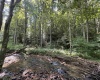 TBD Hunters Fork Road, Belington, West Virginia 26250, 0 , 0 ,0,Lots/land,For Sale,Hunters Fork,0,10167182
