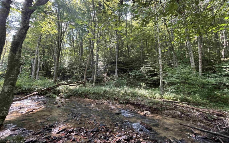 TBD Hunters Fork Road, Belington, West Virginia 26250, 0 , 0 ,0,Lots/land,For Sale,Hunters Fork,0,10167182