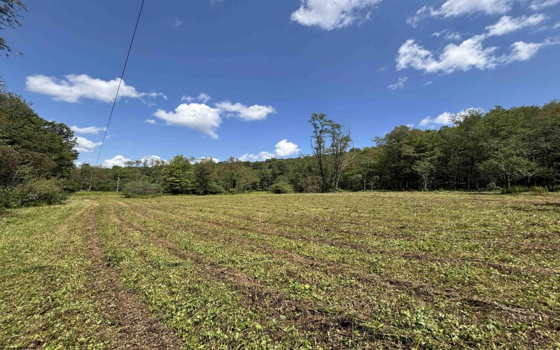 TBD Hunters Fork Road, Belington, West Virginia 26250, 0 , 0 ,0,Lots/land,For Sale,Hunters Fork,0,10167182