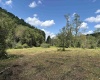 TBD Hunters Fork Road, Belington, West Virginia 26250, 0 , 0 ,0,Lots/land,For Sale,Hunters Fork,0,10167182