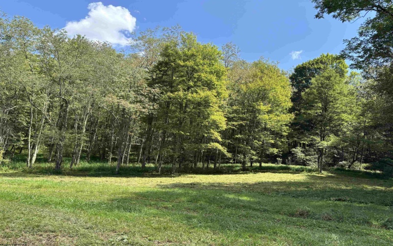 TBD Hunters Fork Road, Belington, West Virginia 26250, 0 , 0 ,0,Lots/land,For Sale,Hunters Fork,0,10167182