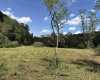 TBD Hunters Fork Road, Belington, West Virginia 26250, 0 , 0 ,0,Lots/land,For Sale,Hunters Fork,0,10167182