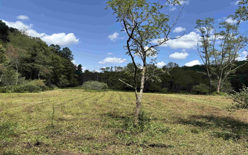 TBD Hunters Fork Road, Belington, West Virginia 26250, 0 , 0 ,0,Lots/land,For Sale,Hunters Fork,0,10167182