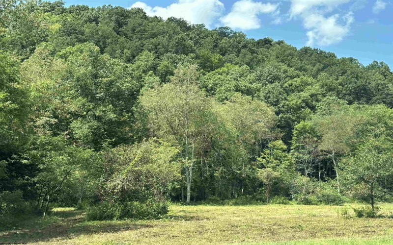 TBD Hunters Fork Road, Belington, West Virginia 26250, 0 , 0 ,0,Lots/land,For Sale,Hunters Fork,0,10167182