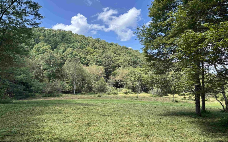 TBD Hunters Fork Road, Belington, West Virginia 26250, 0 , 0 ,0,Lots/land,For Sale,Hunters Fork,0,10167182