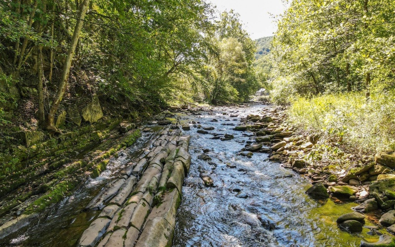 51 Little Tory Drive, Harman, West Virginia 26270, 2 Bedroom Bedrooms, 7 Room Rooms,1 BathroomBathrooms,Single Family Detached,For Sale,Little Tory,0,10167187 51 Little Tory Drive, Harman, West Virginia 26270, 2 Bedroom Bedrooms, 7 Room Rooms,1 BathroomBathrooms,Single Family Detached,For Sale,Little Tory,0,10167187
