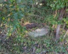 1000 Bryanna Court, Morgantown, West Virginia 26508, 0 , 0 ,0,Lots/land,For Sale,Bryanna,0,10167204