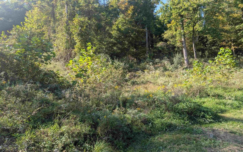 1000 Bryanna Court, Morgantown, West Virginia 26508, 0 , 0 ,0,Lots/land,For Sale,Bryanna,0,10167204