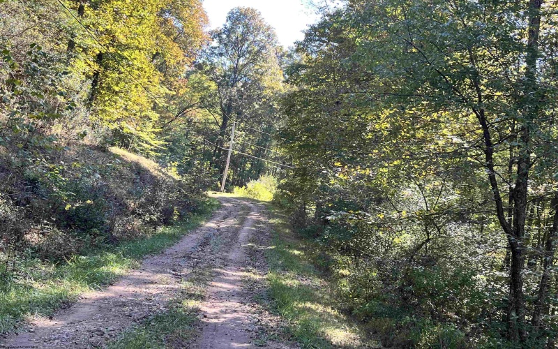 534 Millstone Road, Crawford, West Virginia 26343, 3 Bedroom Bedrooms, 7 Room Rooms,1 BathroomBathrooms,Single Family Detached,For Sale,Millstone,0,10167209